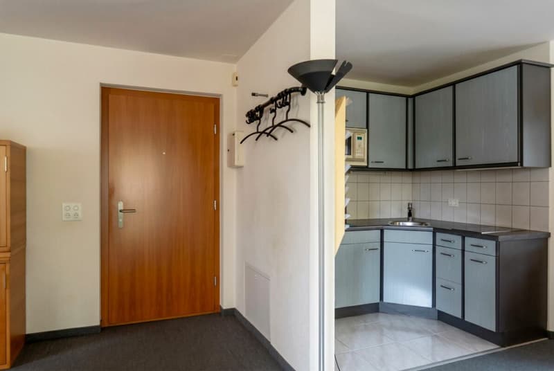 Attraktive 1.5 Zimmer Parterrewohnung (9)