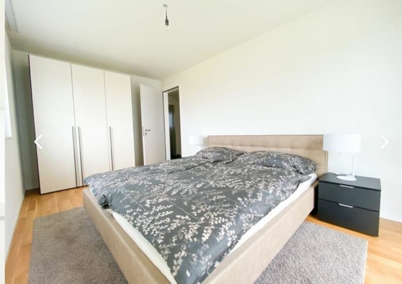 Neuwertiges 6.5 Zimmer Reihen-Eckhaus an ruhiger Lage (9)