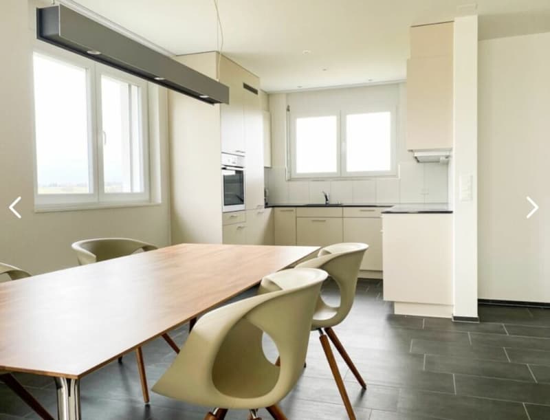 Neuwertiges 6.5 Zimmer Reihen-Eckhaus an ruhiger Lage (7)