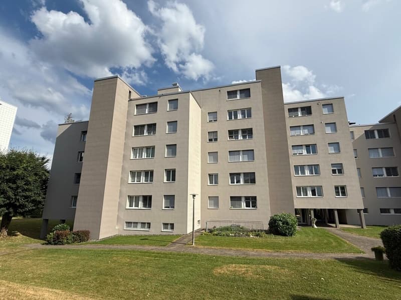 Neuwertige Wohnung (renoviert für CHF 115'000.-) mit Lift an ruhiger Lage (3)