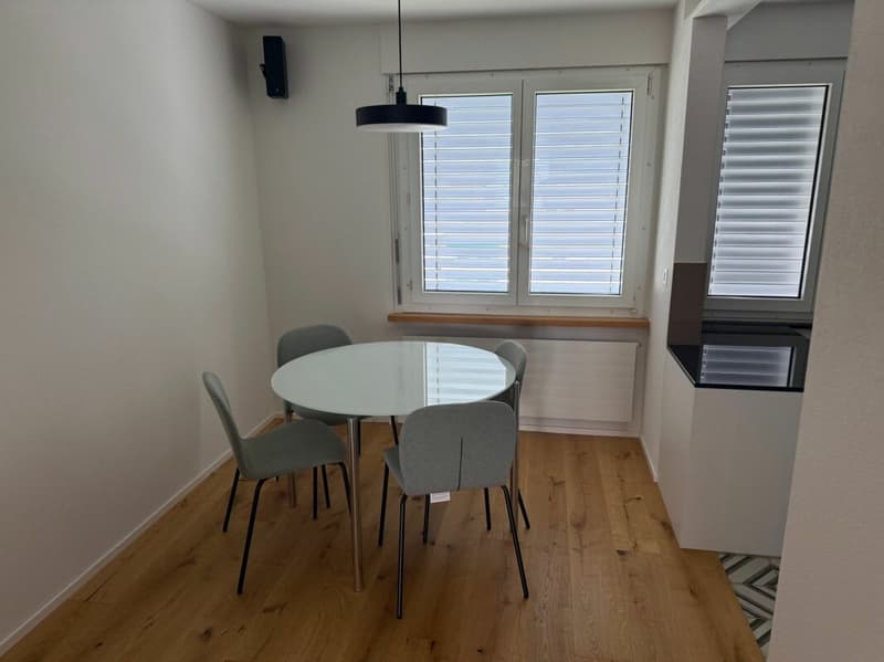 Neuwertige Wohnung (renoviert für CHF 115'000.-) mit Lift an ruhiger Lage (8)