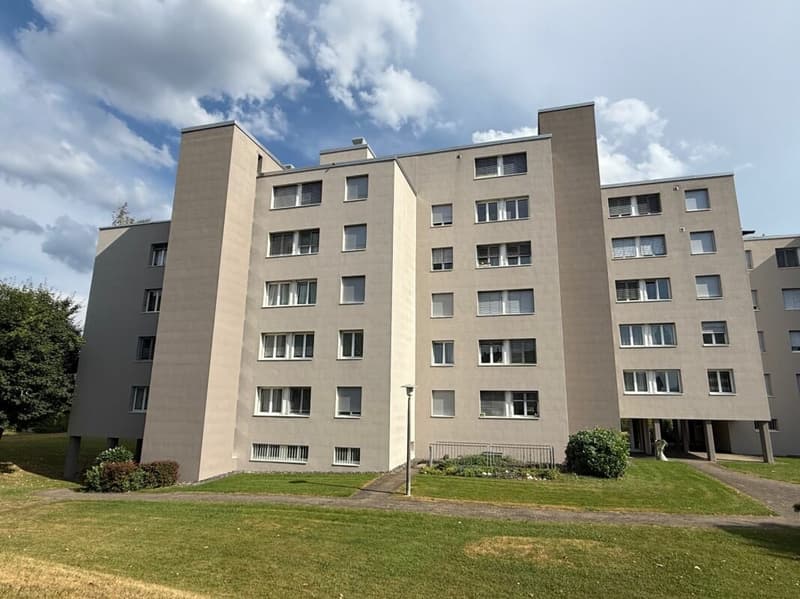 Neuwertige Wohnung (renoviert für CHF 115'000.-) mit Lift an ruhiger Lage (1)