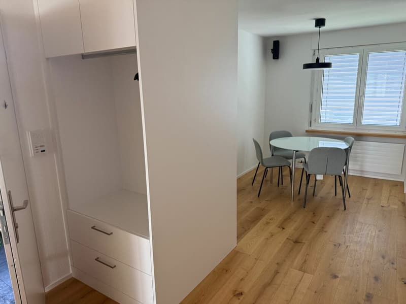 Neuwertige Wohnung (renoviert für CHF 115'000.-) mit Lift an ruhiger Lage (8)