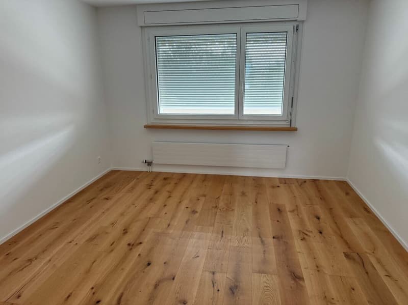 Neu renovierte 3.5 Zimmer Wohnung mit Garage (12)