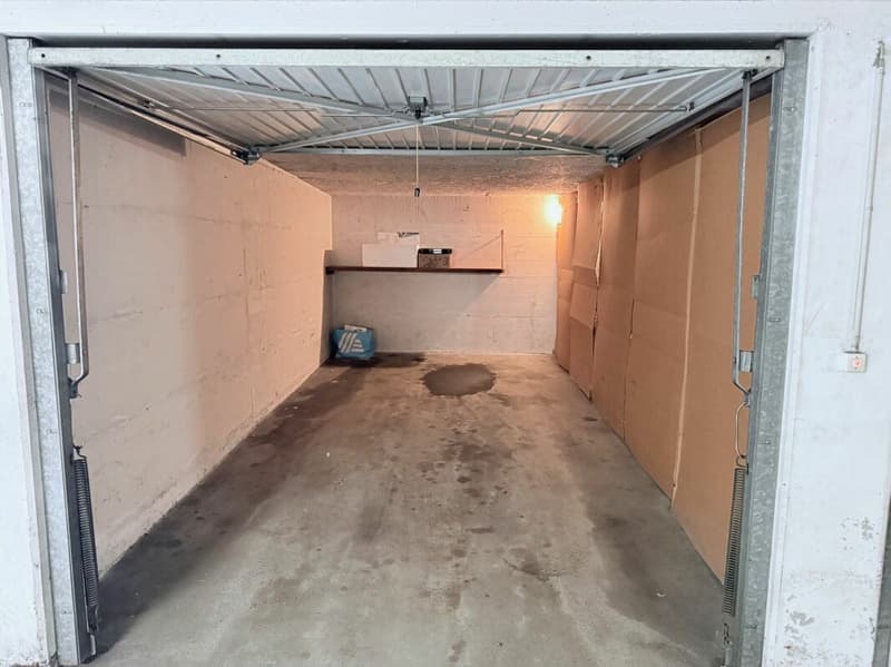 Neu renovierte 3.5 Zimmer Wohnung mit Garage (15)