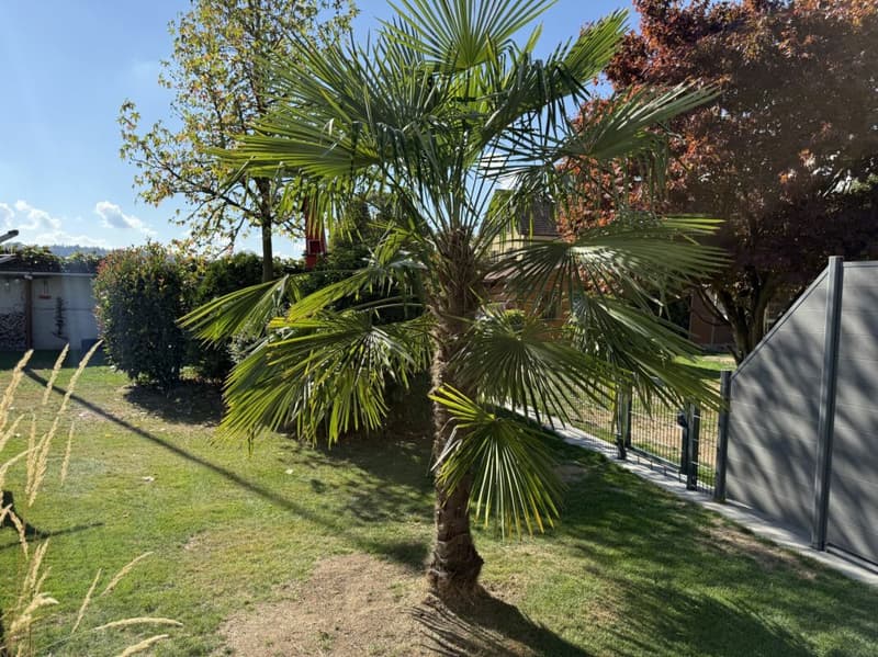 Renoviertes Einfamilienhaus mit einem Wintergarten (3)