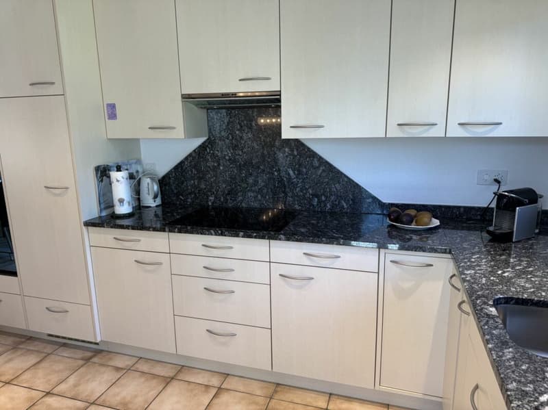 Renoviertes Einfamilienhaus mit einem Wintergarten (9)