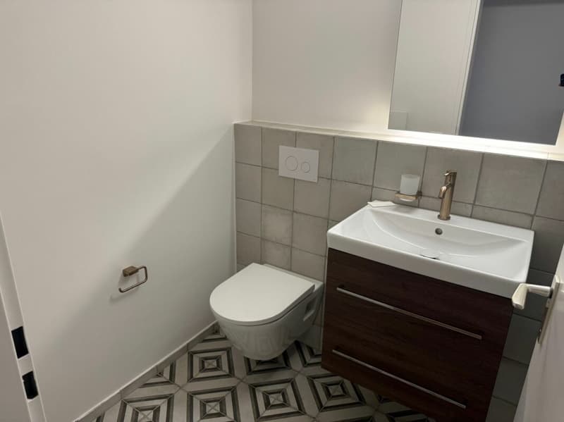 Neu renovierte 3.5 Zimmer Wohnung mit Garage (8)