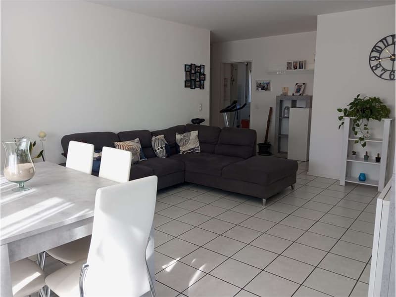 Luminoso appartamento 4,5 locali in zona residenziale tranquilla (2)