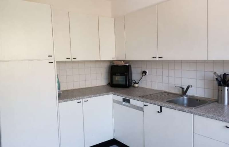 Luminoso appartamento 4,5 locali in zona residenziale tranquilla (4)