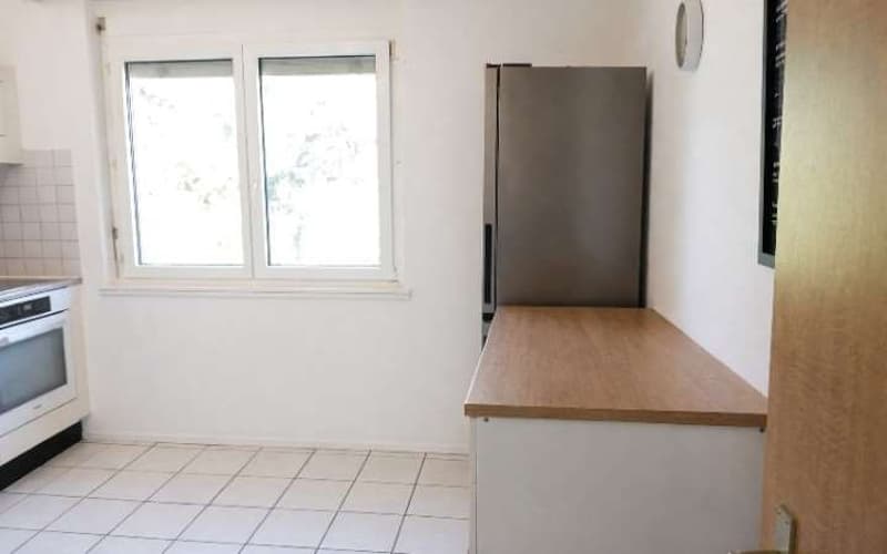 Luminoso appartamento 4,5 locali in zona residenziale tranquilla (5)