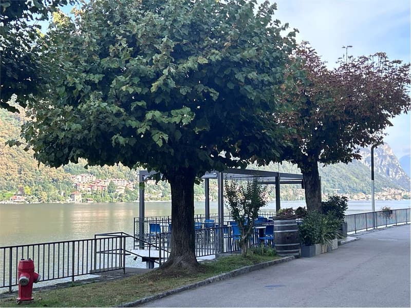 BRUSINO: 3.5 LOCALI COMPLETAMENTE RISTRUTTURATO (11)