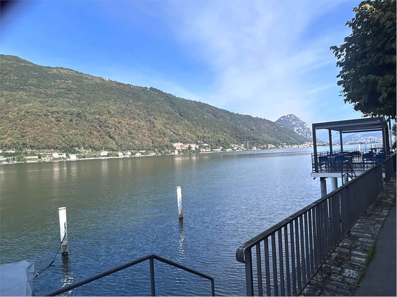BRUSINO: 3.5 LOCALI COMPLETAMENTE RISTRUTTURATO (13)