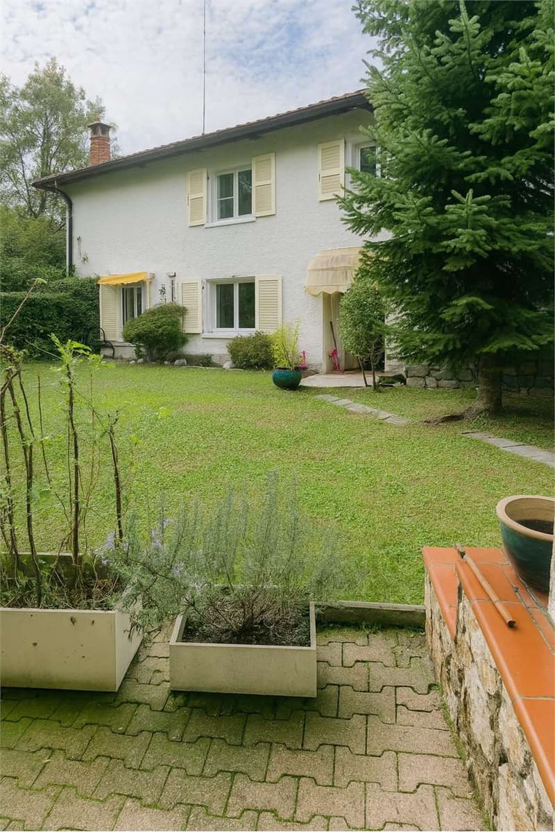 Pazzallo 3,5 con giardino e due mensilità offerte (10)