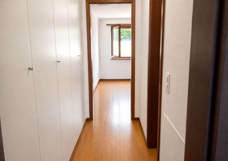 Comano - Elegante appartamento 2.5 locali con piscina e vista panorami (4)