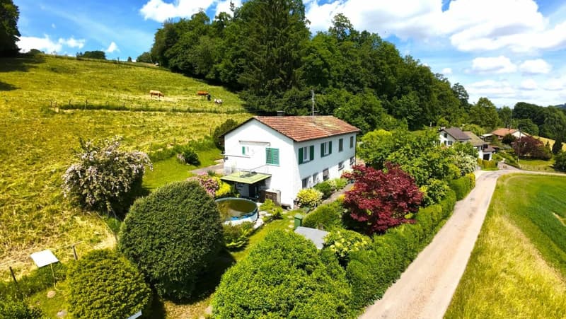 Zweifamilienhaus mit genialer Weitsicht (2)