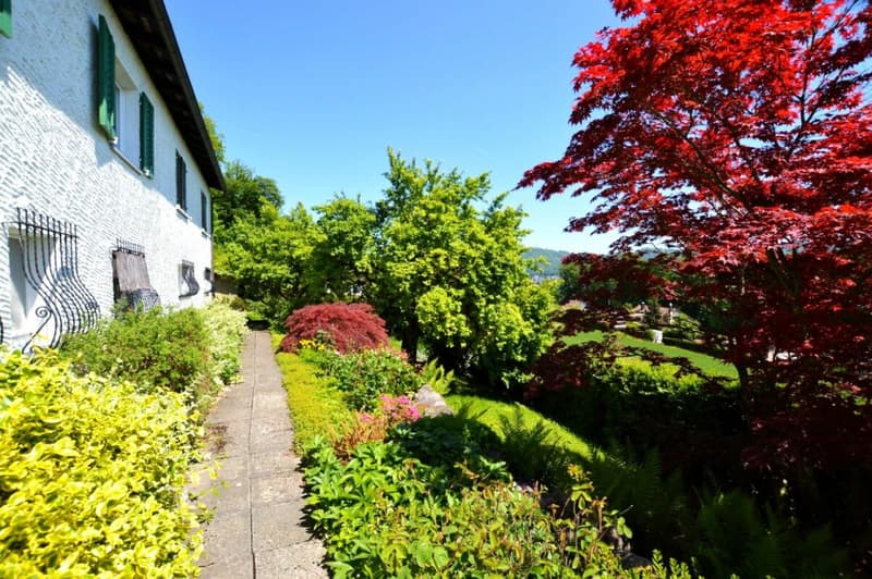 Zweifamilienhaus mit genialer Weitsicht (3)