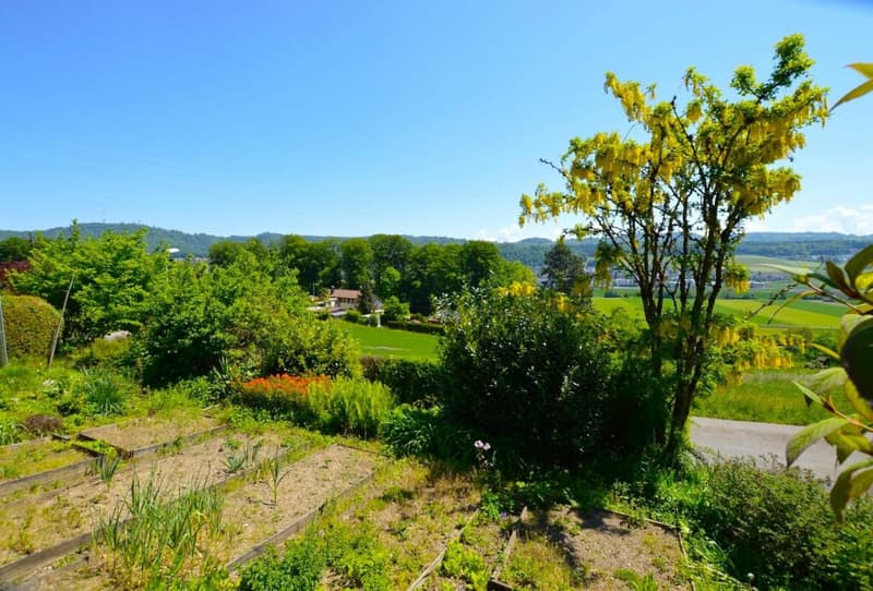 Zweifamilienhaus mit genialer Weitsicht (5)