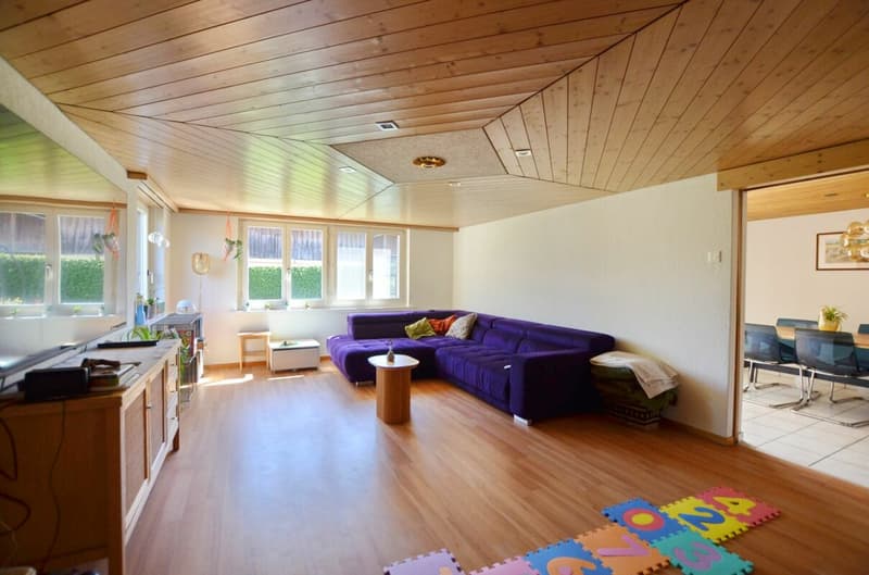 7.5 Zimmer-Einfamilienhaus mit Schwimmbad (3)