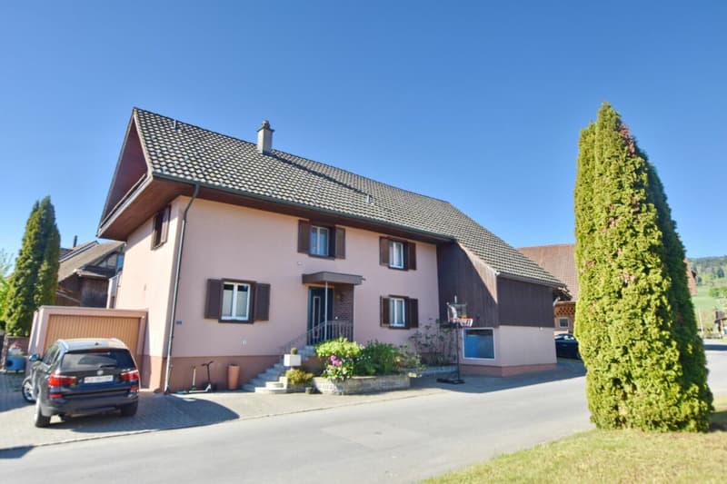 7.5 Zimmer-Einfamilienhaus mit Schwimmbad (2)