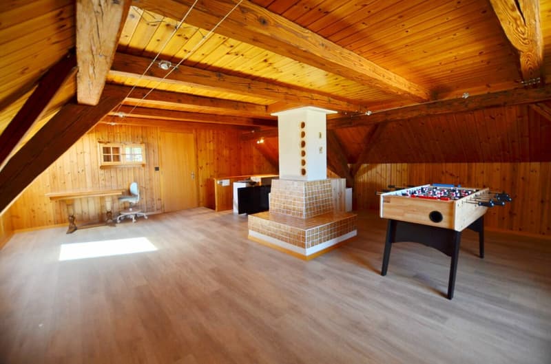 7.5 Zimmer-Einfamilienhaus mit Schwimmbad (6)
