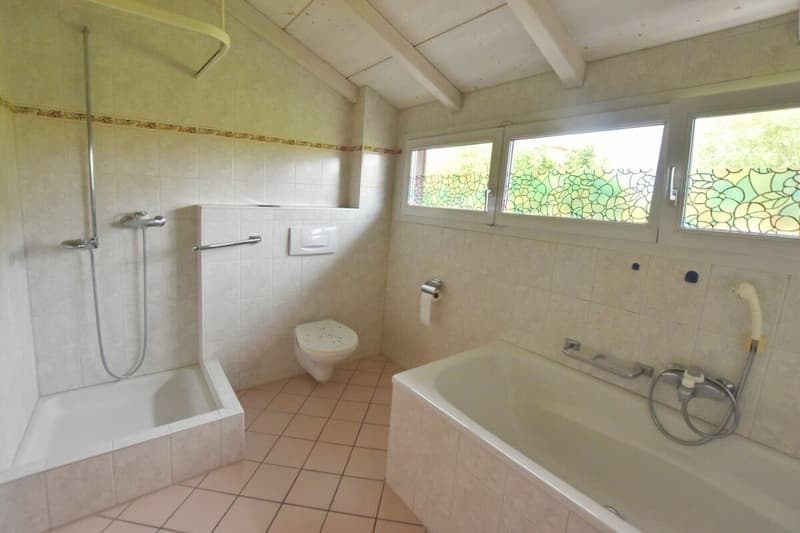 6.5 Zimmer-Einfamilienhaus mit Einliegerwohnung (7)