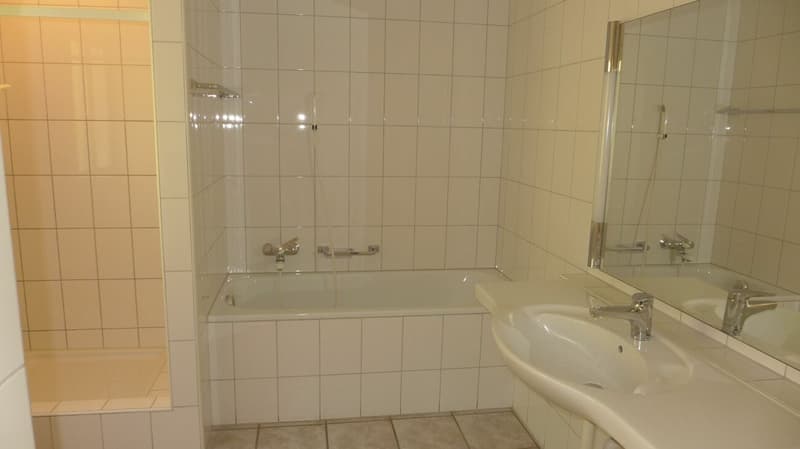 5.5 Zimmer-Einfamilienhaus zu Aussichtslage (10)