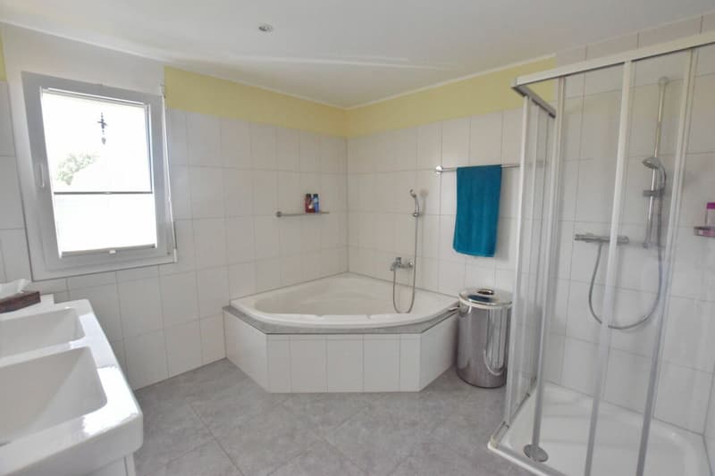 4.5 Zimmer Dachwohnung mit ausgebautem Estrich (10)