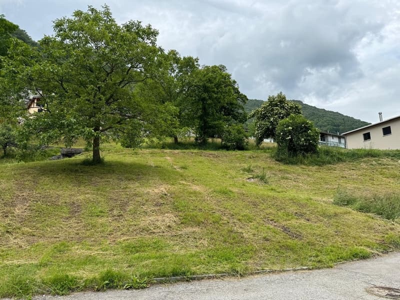 Terreno edificabile per casa unifamiliare con progetto approvato (1)
