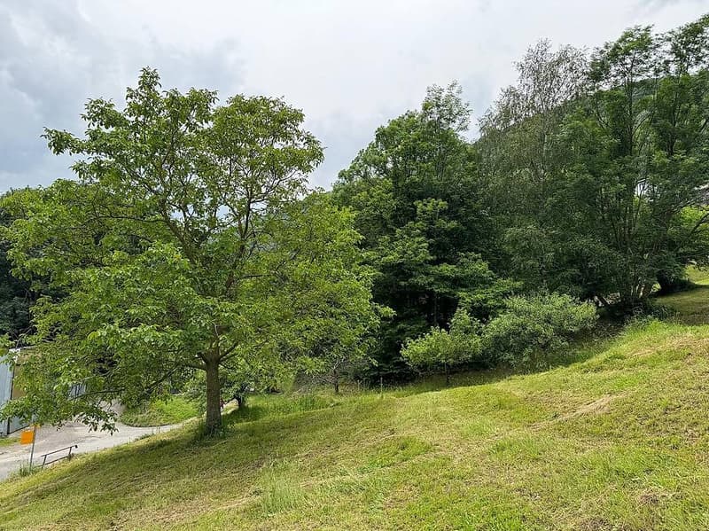 Terreno edificabile per casa unifamiliare (5)