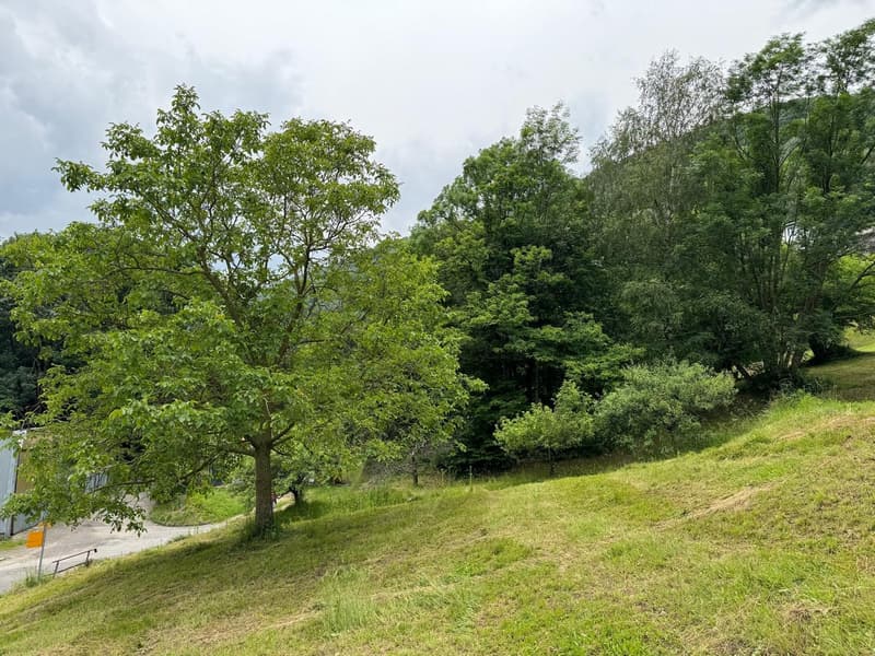 Terreno edificabile con progetto approvato per casa unifamiliare (4)