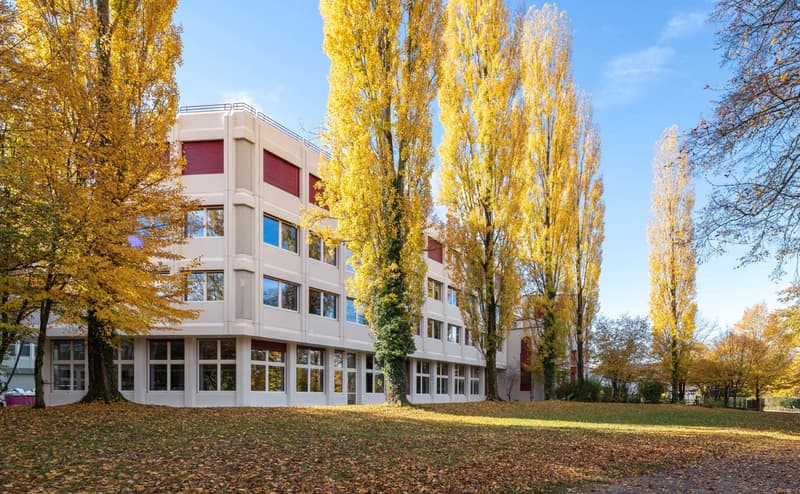 Suchen Sie ein Einzelbüro? Zentral in Neuenhof zu vermieten (7)
