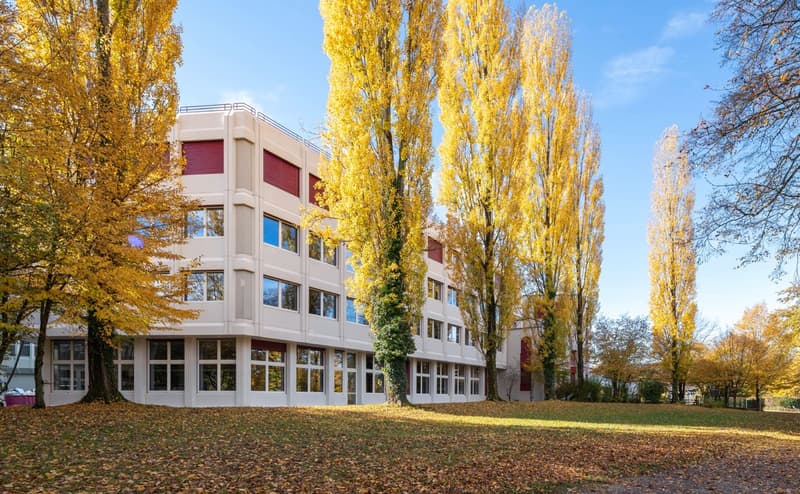 Möblierte Büros für Ihr Team - zentral in Neuenhof ab sofort zu vermieten (9)