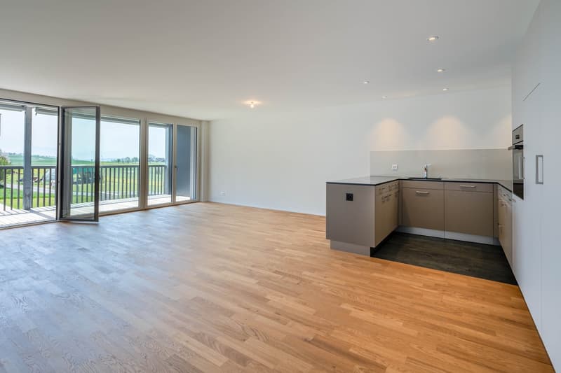 Wunderschöne 5.5 Zimmerwohnung 1. OG in Bettwil (4)