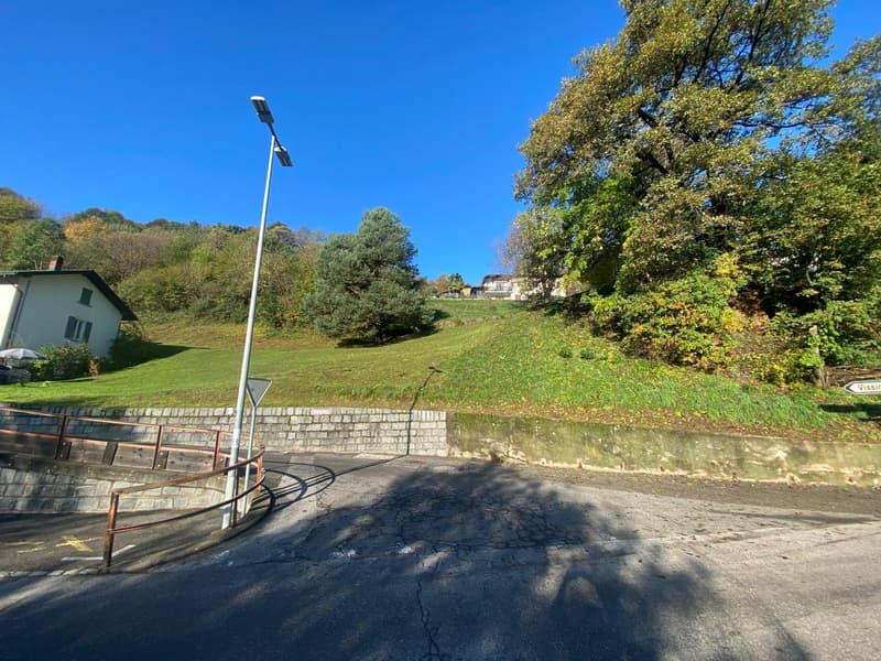 The image shows a scenic outdoor landscape with a paved path, a grassy hill, and lush trees in the background. The sky is a bright blue color, and the trees are in full autumn foliage, with yellow and green leaves. There is a street lamp visible on the le
