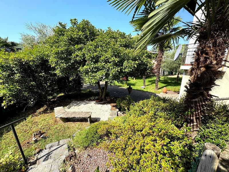 Casa bifamiliare con giardino a Morbio Inferiore (10)