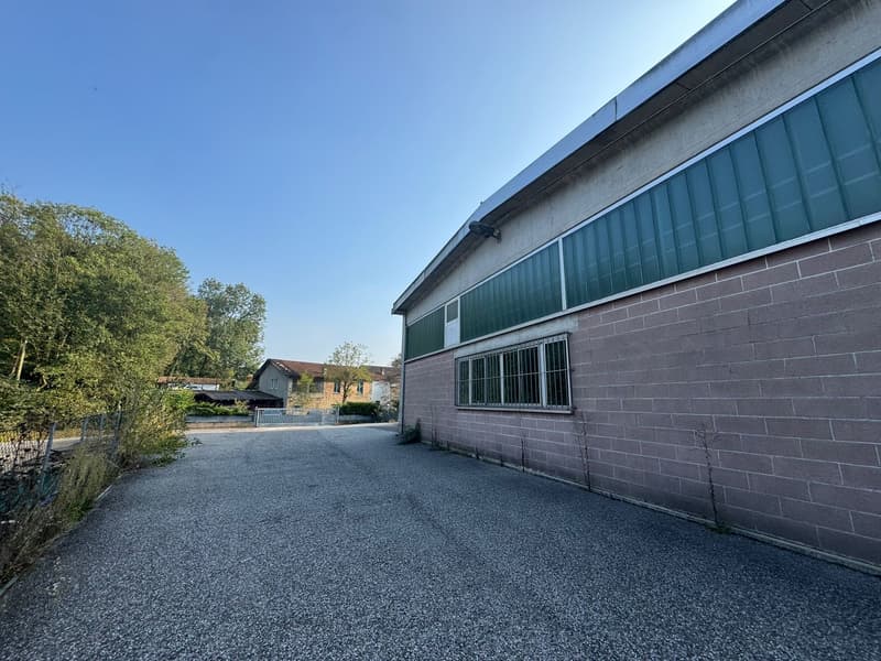 Large building with parking lot, brick walls, green panels, small trees, buildings in the distance
