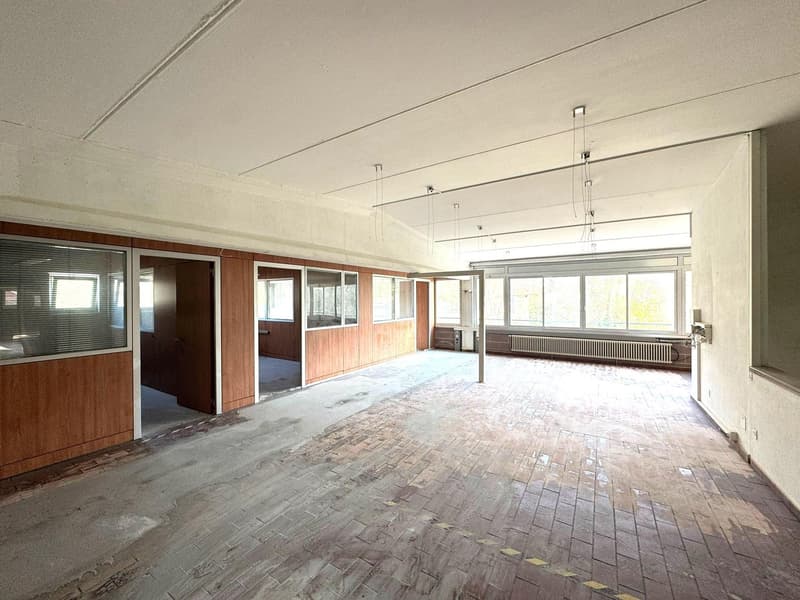 wide office space, wooden panels, open office rooms, brick floor, glass windows, ceiling lights, empty