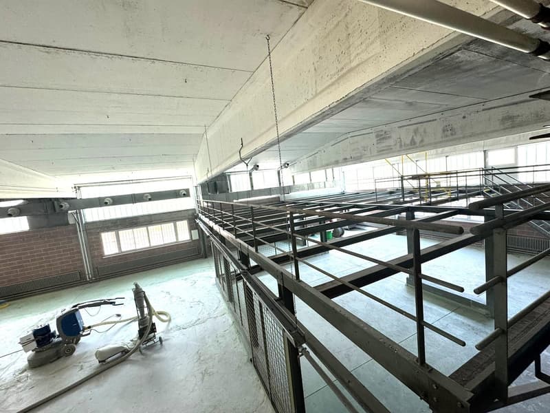 Basement area, metal shelving units, industrial design, under construction