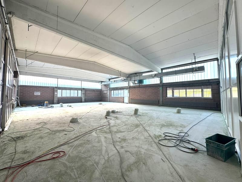 Spazio industriale di 1000 m² a Ligornetto - Perfetto per attività produttive (10)