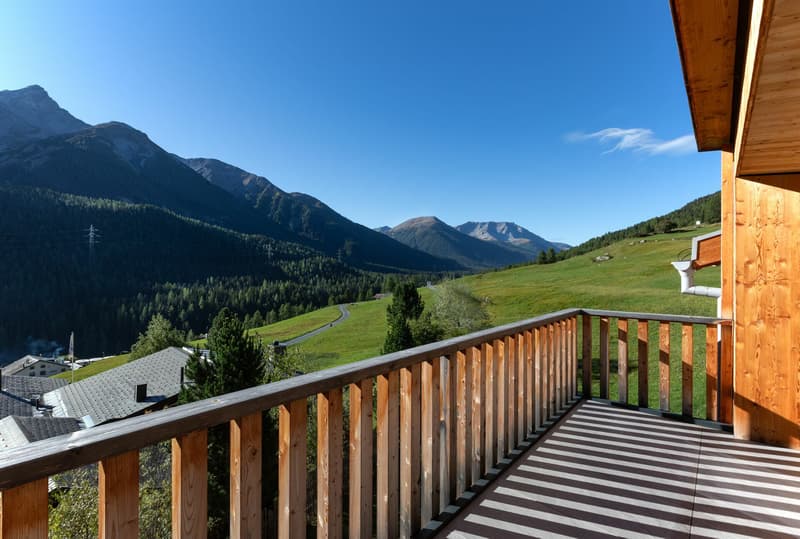 Chesa Panorama (1)