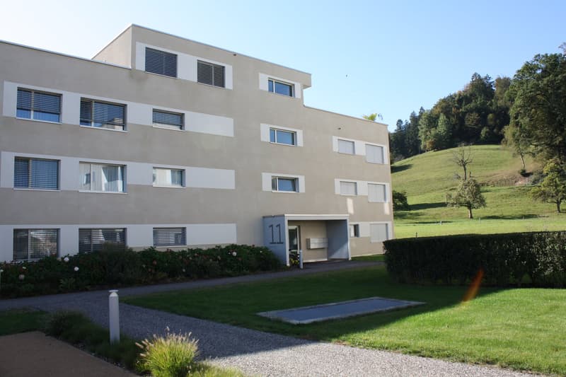Exklusives Attikawohnen mit Panorama ins Grüne (13)