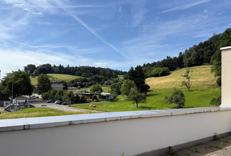 Exklusive 3.5-Zimmerwohnung im 2.OG mit Panorama ins Grüne (12)