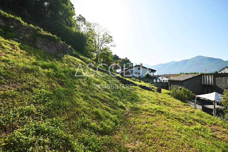 Terreno edificabile di 1'070 m2 con vista panoramica (6)