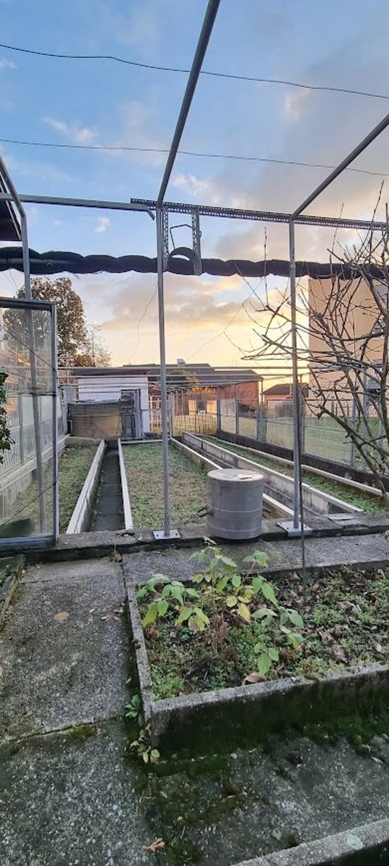 greenhouse with plants, metal fencing, trees, large plot, drainage system