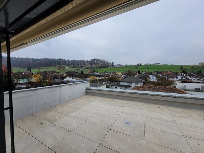 Attraktive 3.5-Zimmer-Attikawohnung mit hochwertigem Ausbau und traumhaftem Süd-West Ausblick (5)
