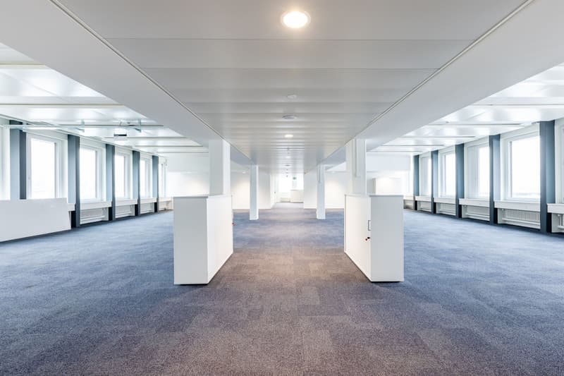 Top-Büroimmobilie: 1050 m2 repräsentative Fläche zu vermieten (1)