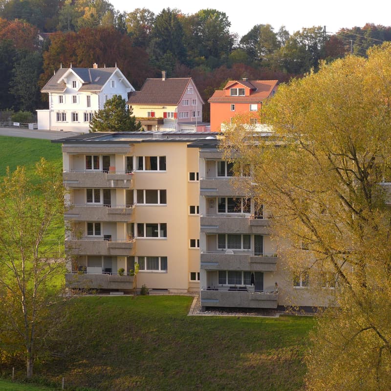 2.5 Zimmerwohnung in Walzenhausen (1)