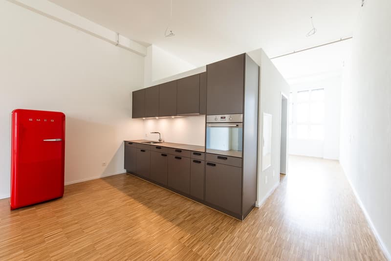 Moderne 1.5-Zimmer-Loft-Wohnung auf einzigartigem Fabrikareal (2)