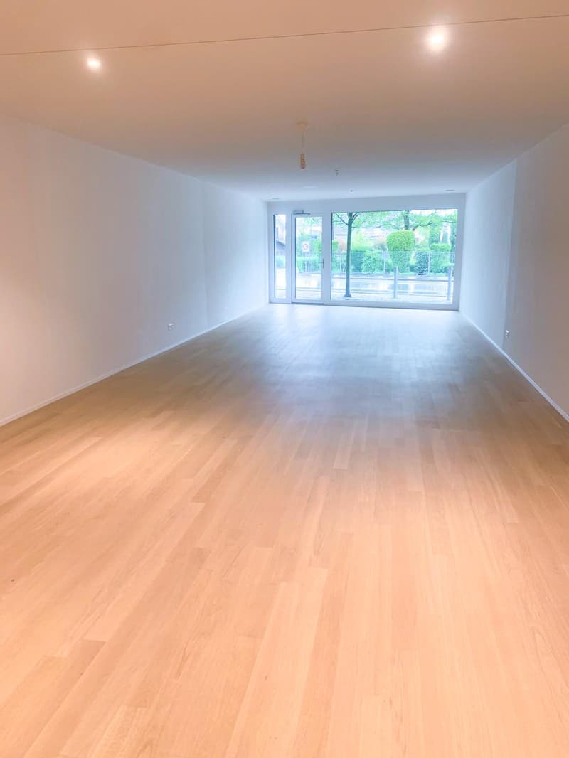 Atelier d'artiste ou espace commercial dans le beau Romanshorn (5)